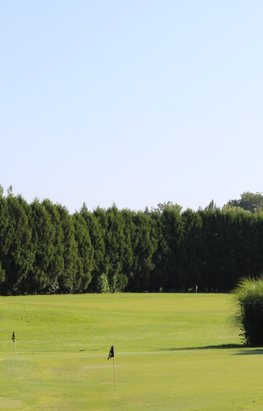 Fairways Golf Centre Short Game Area